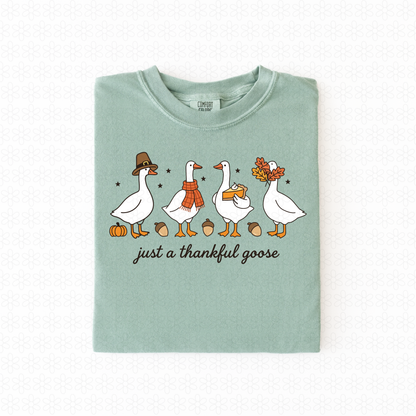 Just a thankful goose