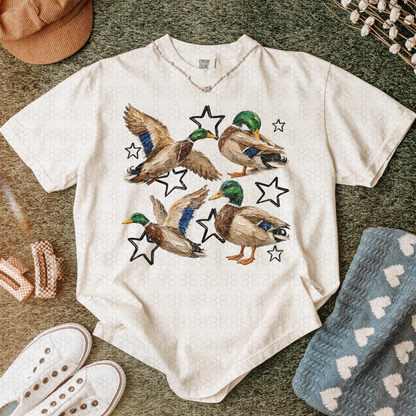 Ducks